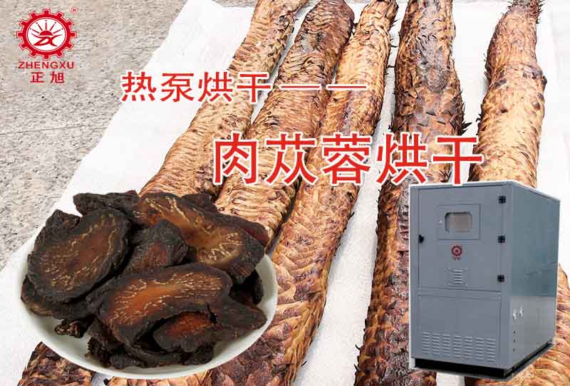 正旭肉蓯蓉?zé)岜煤娓晒に嚕ê娓蓽囟?、時(shí)間）