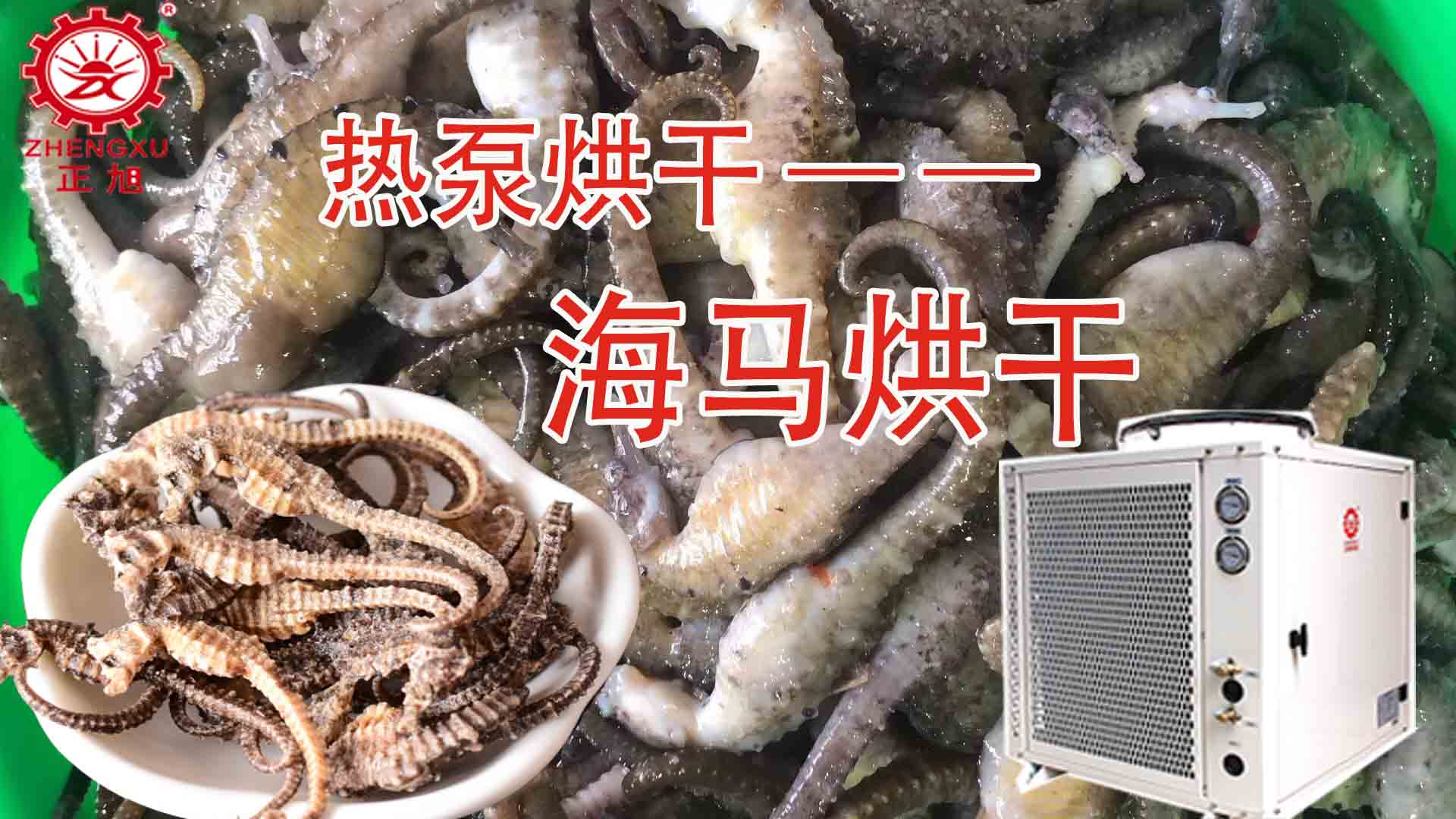 海馬熱泵烘干方法詳解（含研粉、清洗、宰殺、烘干時間）